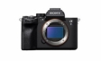 Старт продаж Sony Alpha 7SIII в России