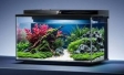 Smart Fish Tank 2 Pro: дом для рыбок